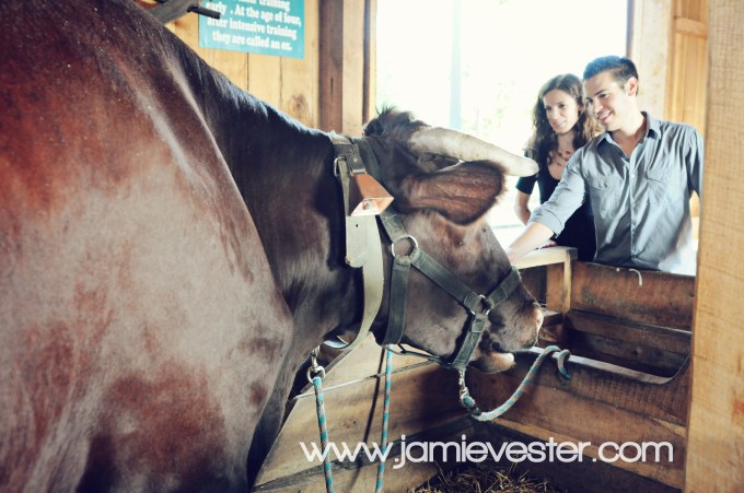 Indiana State Fair Engagement Photos